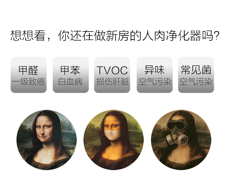 蓋銳甲醛魔方去除甲醛新房異味強(qiáng)力家用型清除劑裝修除味專利產(chǎn)品