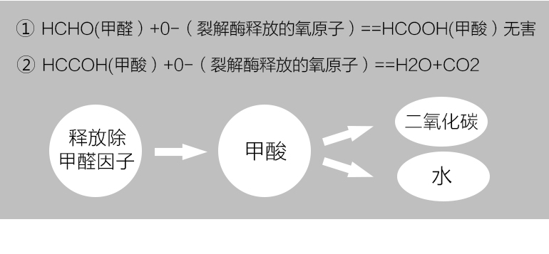 蓋銳甲醛魔方去除甲醛新房異味強(qiáng)力家用型清除劑裝修除味專利產(chǎn)品